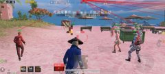 华为手机和平精英辅助功能在哪里设置的呢怎么关闭