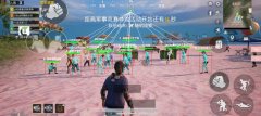 和平精英举报外挂结果怎么查看（和平精英的举报结果通常需要多长时间才能反馈？）